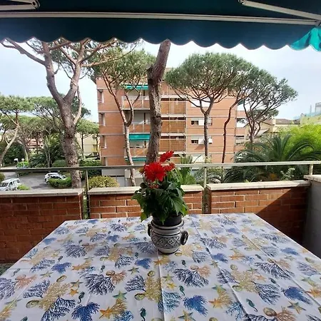 Casa Giuliana Tra Pineta E Mare 公寓 维亚雷焦